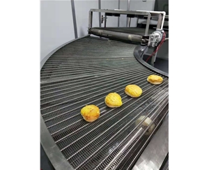 广西食品网带转弯机