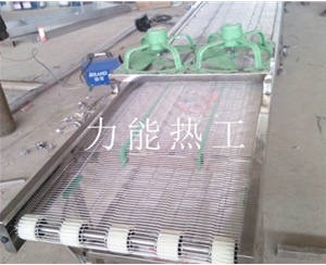 广西乙字网输送机