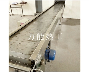 广西链板输送机